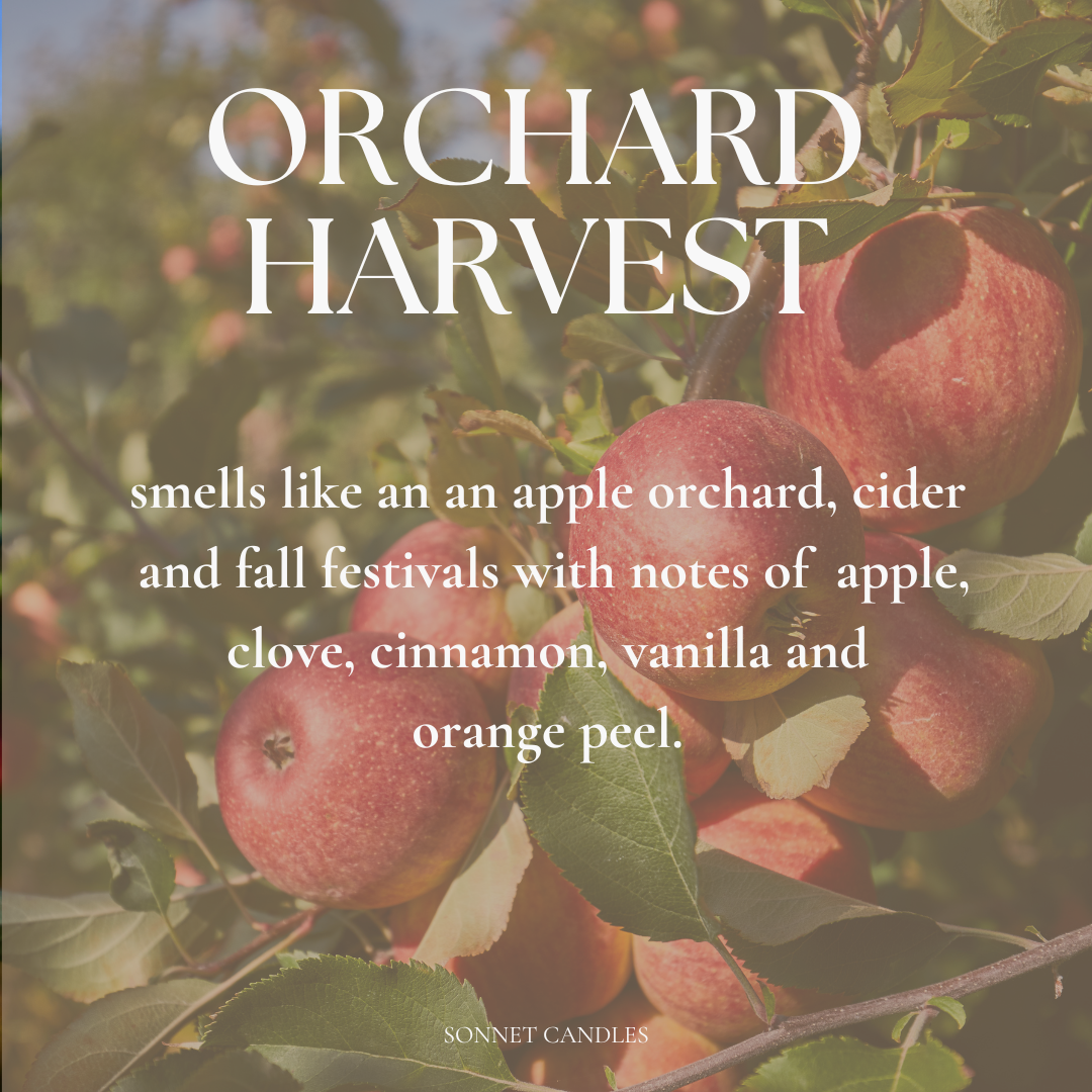 Orchard Harvest 4 oz Candle